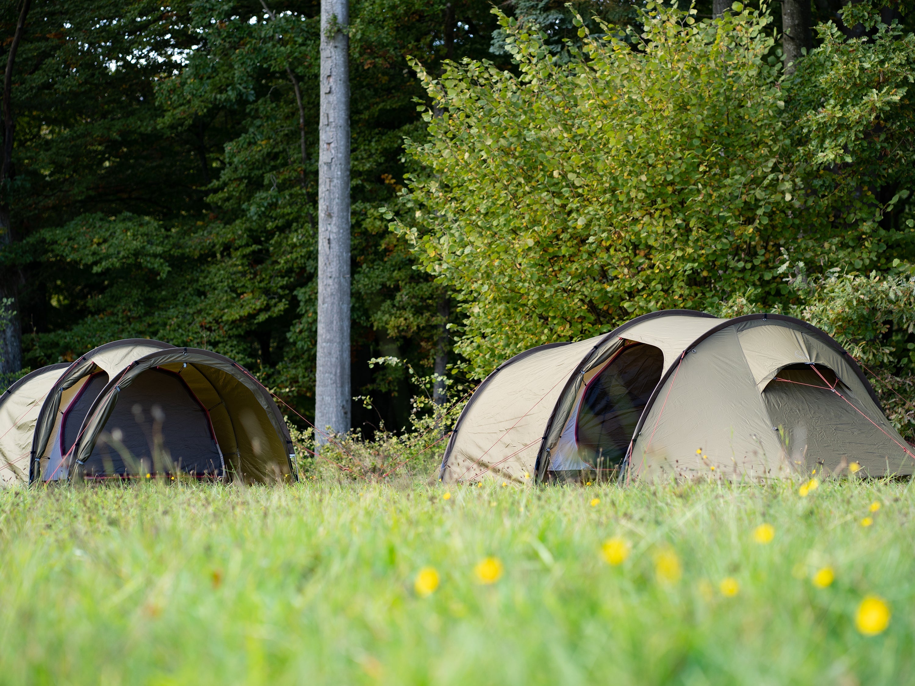 Oppland 2 PU (2.0) Tent - Dark Olive - 2 personen.